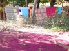dsc_7010_800x537